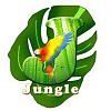 Jungle Pianeta Animale