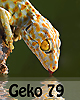 L'avatar di geko79