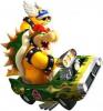 L'avatar di bowser